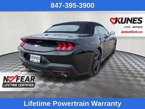 Used 2024 Ford Mustang EcoBoost image 7
