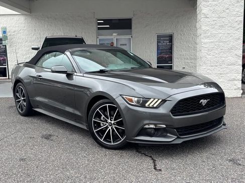 Used 2016 Ford Mustang Premium w/ Equipment Group 201A RWD image 1