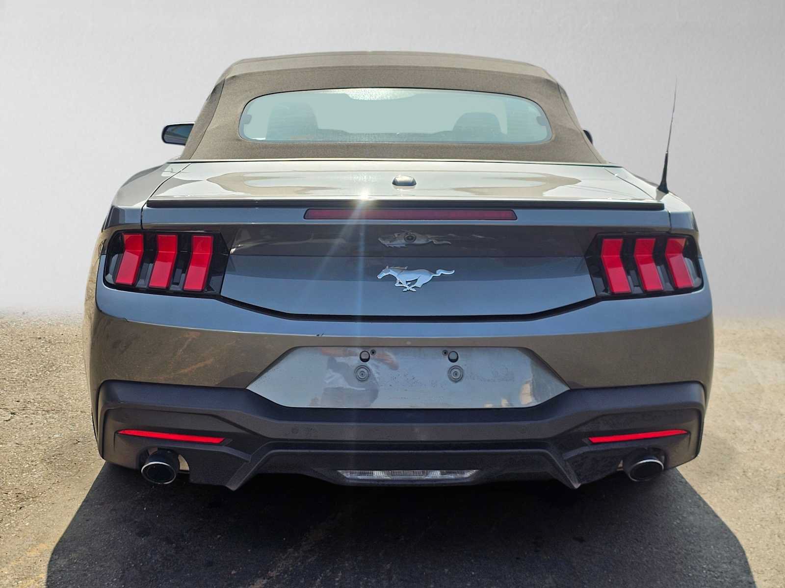 Used 2024 Ford Mustang Premium w/ Wheel & Stripe Package RWD image 4