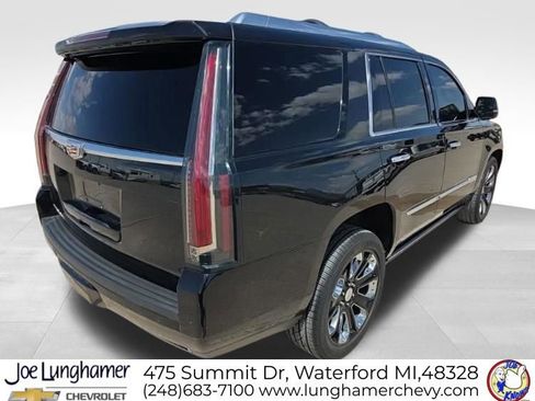 Used 2016 Cadillac Escalade Platinum AWD/4WD image 3