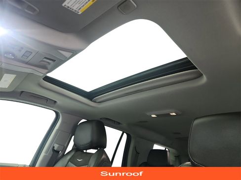 Used 2019 Cadillac Escalade Luxury image 12