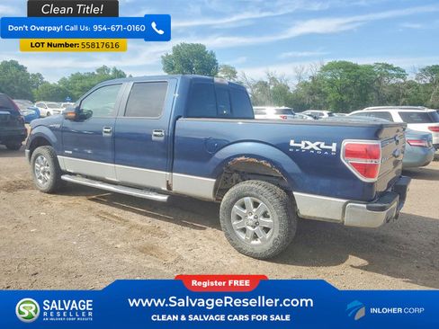 Used 2013 Ford F150 XLT w/ Luxury Equipment Group AWD/4WD image 3