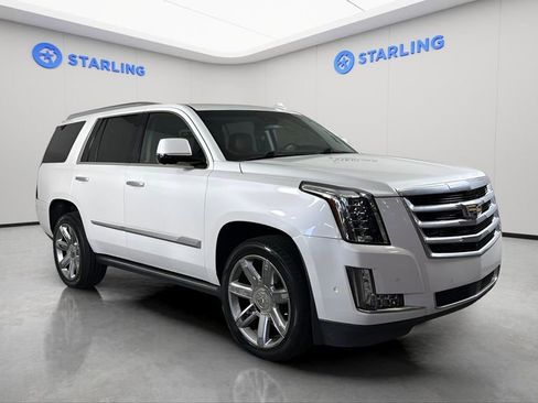 Used 2019 Cadillac Escalade Premium Luxury RWD image 13
