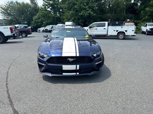 Used 2019 Ford Mustang Premium w/ Ecoboost Performance Package RWD image 2
