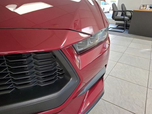 Certified 2025 Ford Mustang Premium w/ Mustang Nite Pony Package image 13