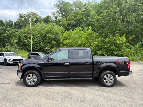Used 2019 Ford F150 XLT w/ Equipment Group 302A Luxury AWD/4WD image 6