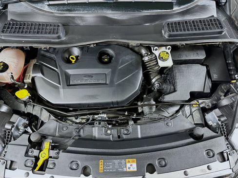 Used 2019 Ford Escape Titanium image 31