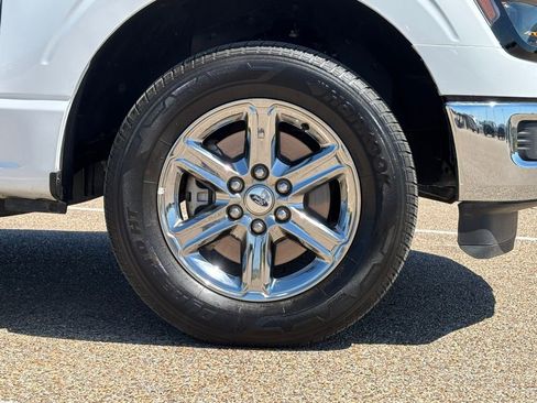 Used 2025 Ford F150 XLT w/ Equipment Group 301A Standard RWD image 8