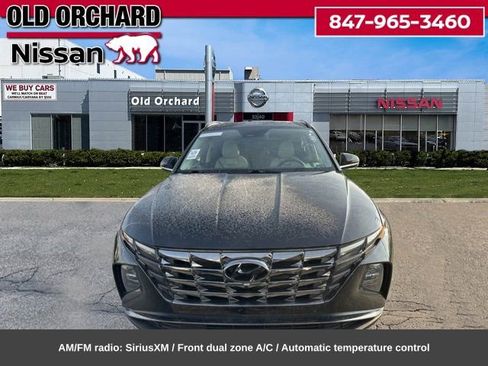 Used 2023 Hyundai Tucson Limited w/ Cargo Package image 2