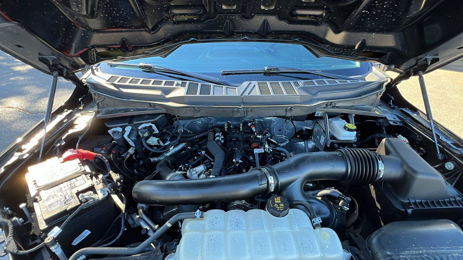 Used 2025 Ford F150 XLT w/ Equipment Group 301A Standard AWD/4WD image 27