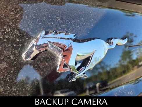 Used 2022 Ford Mustang Premium w/ Equipment Group 201A RWD image 6