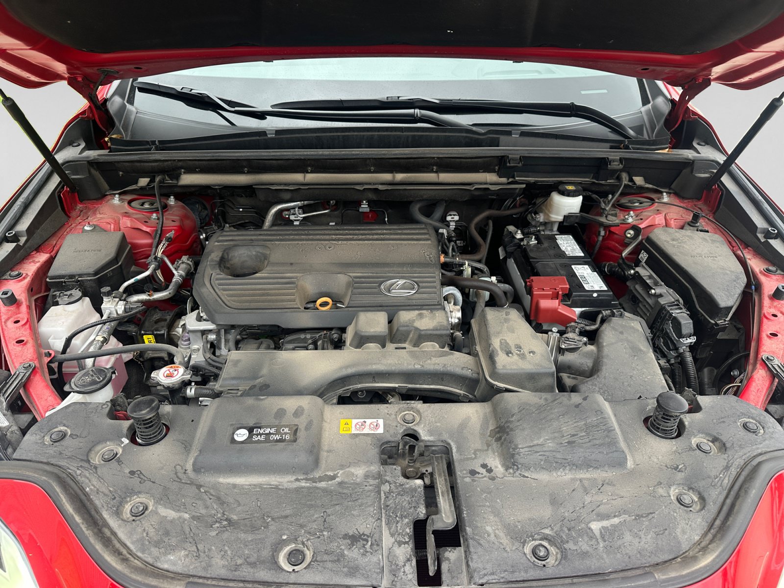 Used 2023 Lexus NX 250 FWD w/ Cold Area Package image 19