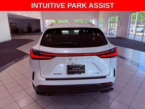 Used 2024 Lexus NX 250 FWD w/ Cold Area Package image 6