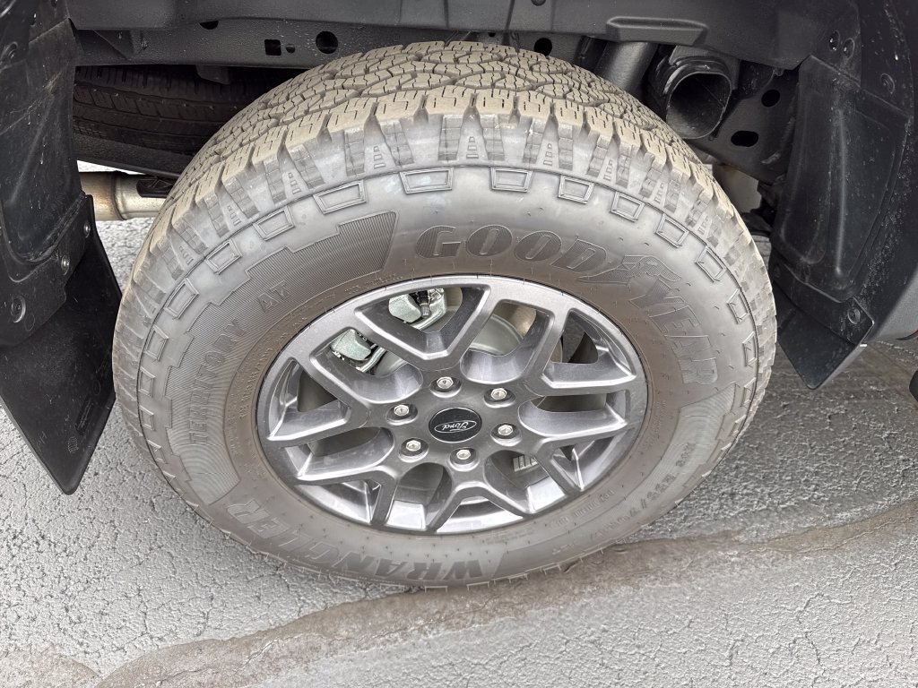 Used 2025 Ford Ranger XLT w/ Equipment Group 301A High AWD/4WD image 22