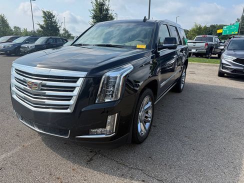 Used 2019 Cadillac Escalade Platinum AWD/4WD image 1