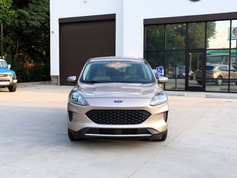 Used 2020 Ford Escape SE image 2