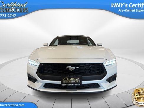 Used 2024 Ford Mustang Premium RWD image 2