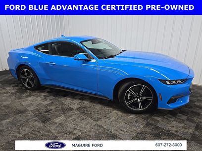Certified 2024 Ford Mustang Premium