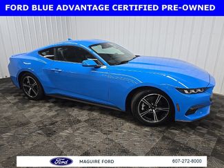 Certified 2024 Ford Mustang Premium video 1