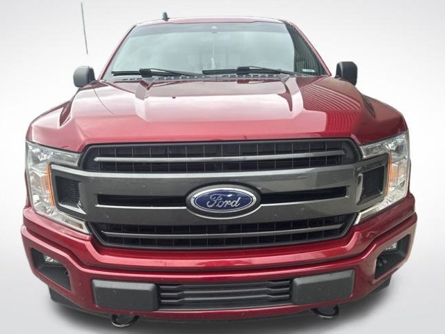 Used 2019 Ford F150 XLT w/ Equipment Group 302A Luxury AWD/4WD image 7