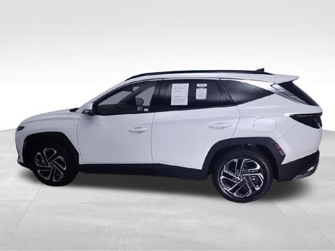 Used 2025 Hyundai Tucson Limited FWD image 7