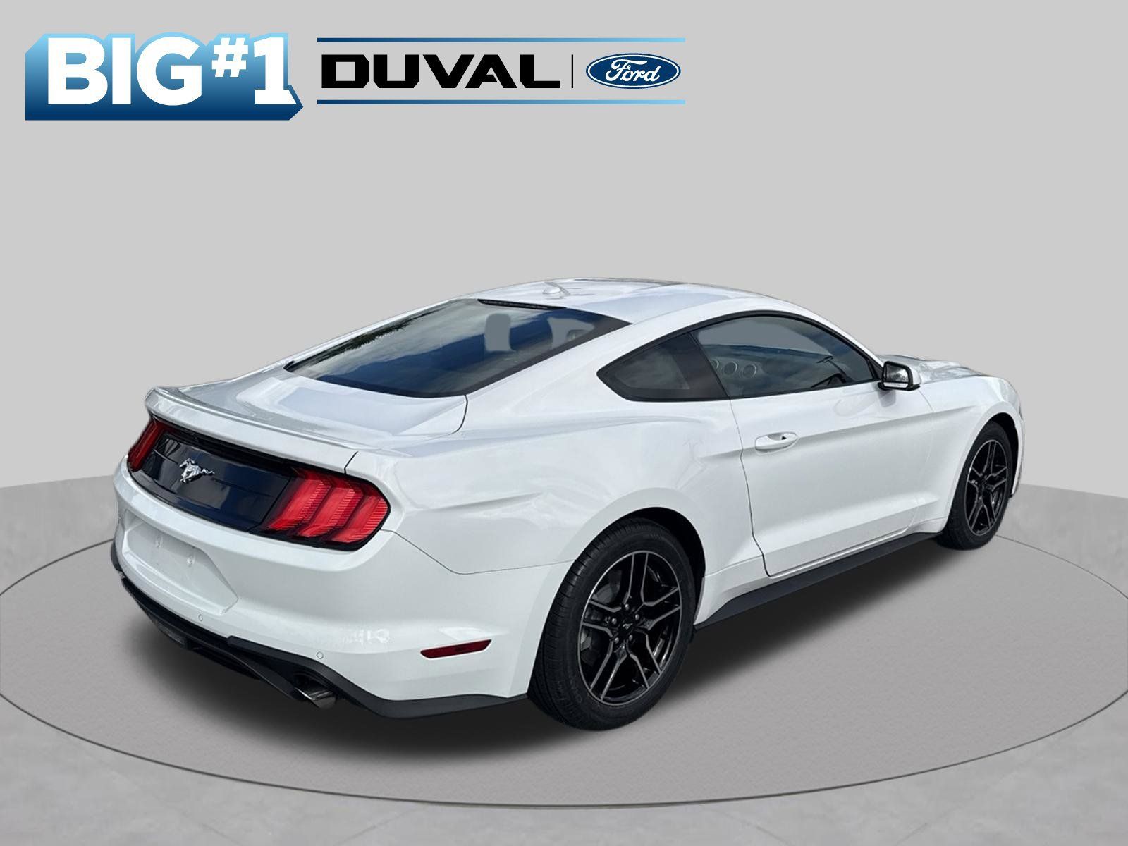 Used 2019 Ford Mustang Premium w/ Equipment Group 201A RWD image 3