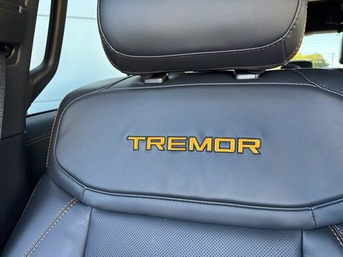 New 2025 Ford Expedition Tremor image 29