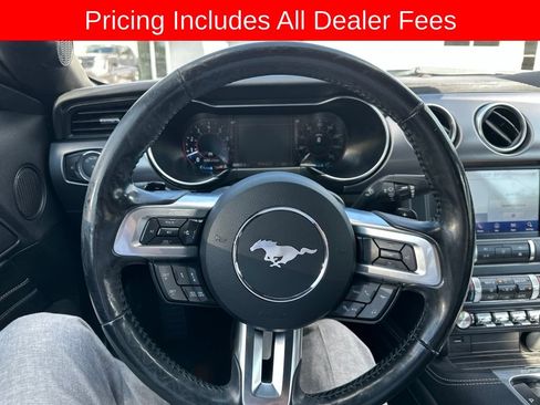 Used 2019 Ford Mustang Premium w/ Equipment Group 201A RWD image 7