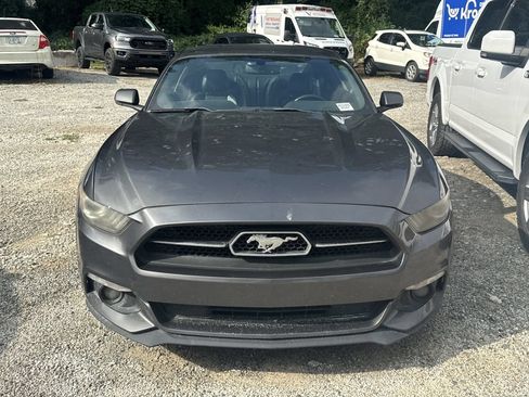 Used 2015 Ford Mustang Premium w/ Equipment Group 201A RWD image 2
