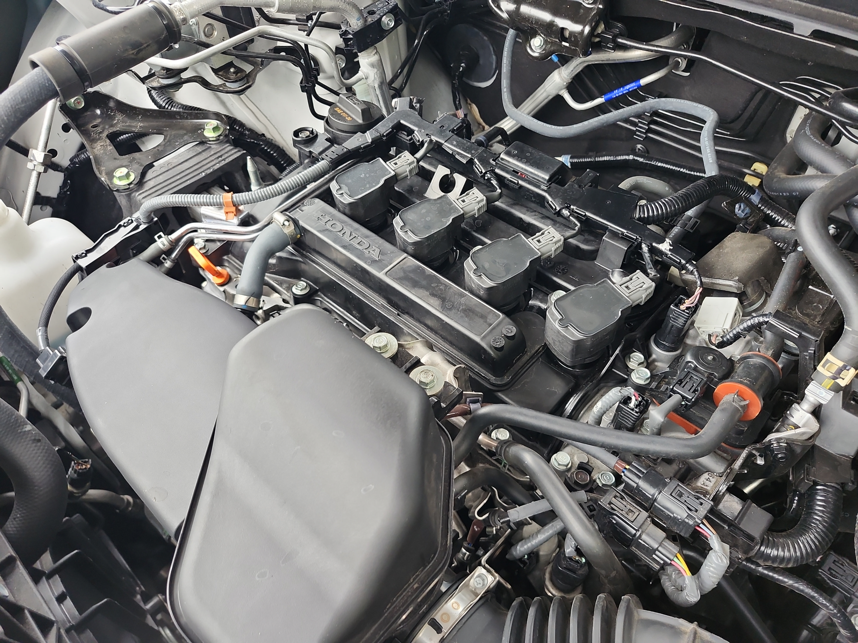 Certified 2024 Honda CR-V EX image 24
