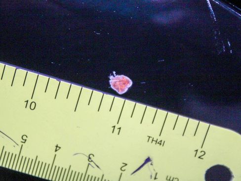 Used 2015 INFINITI Q50 2.0t w/ Moonroof Package image 34