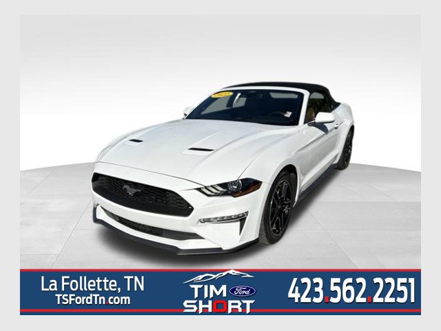 Used 2022 Ford Mustang Premium RWD image 1