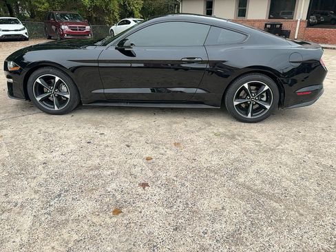 Used 2019 Ford Mustang Coupe image 8