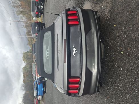 Used 2017 Ford Mustang Premium RWD image 4