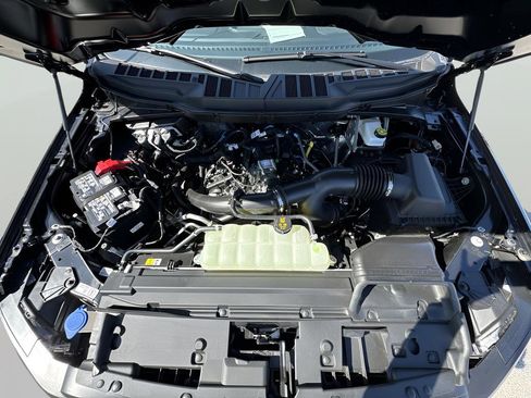 New 2025 Ford F150 XL image 17