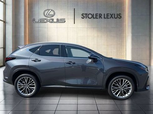 Used 2025 Lexus NX 350 AWD w/ Cold Area Package image 4