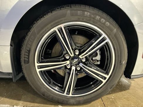 Used 2024 Ford Mustang Premium RWD image 19