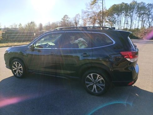 Used 2024 Subaru Forester Limited image 3