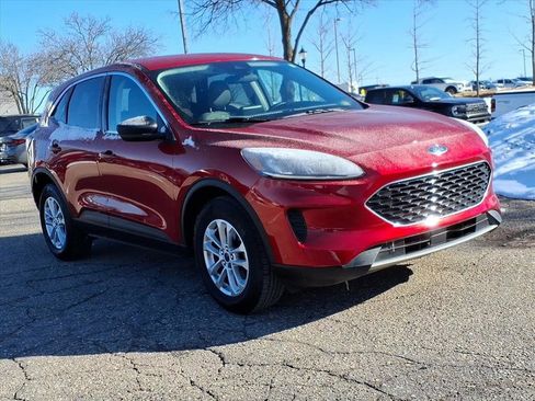 Used 2022 Ford Escape SE w/ Cold Weather Package image 7