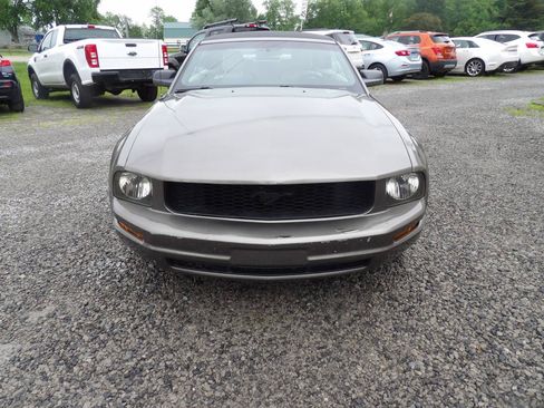 Used 2005 Ford Mustang Convertible RWD image 2