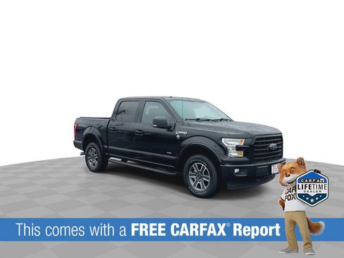 Used 2017 Ford F150 XLT w/ Equipment Group 302A Luxury image 2