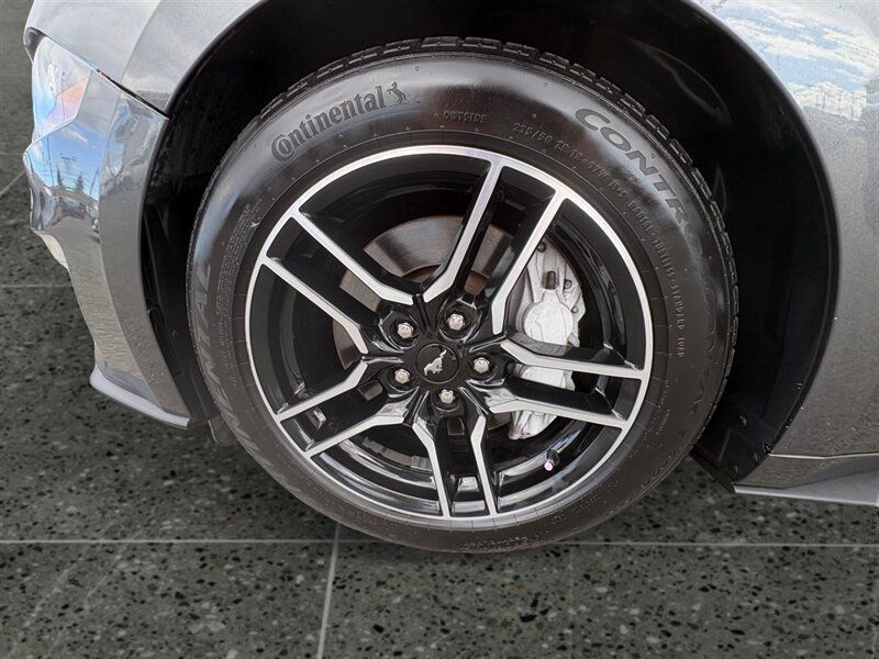 Used 2019 Ford Mustang GT Premium w/ Equipment Group 401A RWD image 15