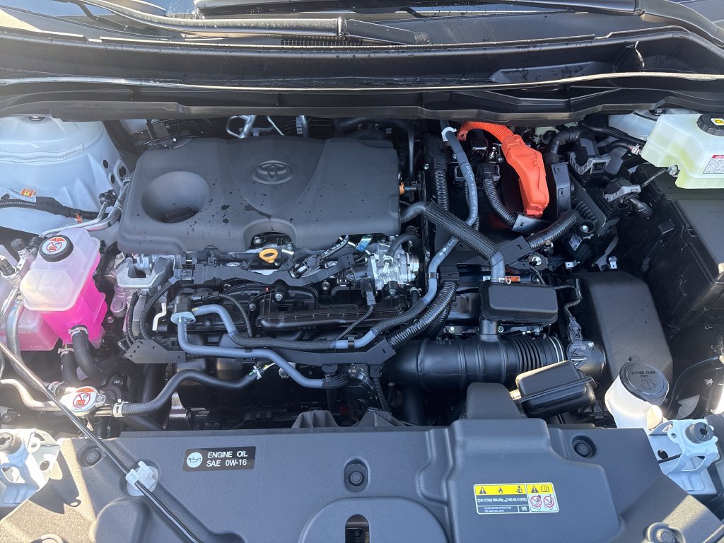 New 2026 Toyota Sienna XLE Woodland Edition AWD/4WD image 22