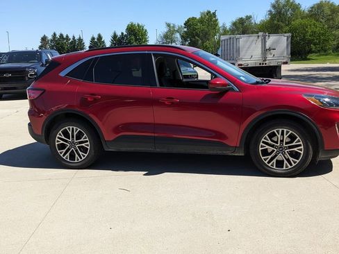 Used 2021 Ford Escape SEL FWD image 2