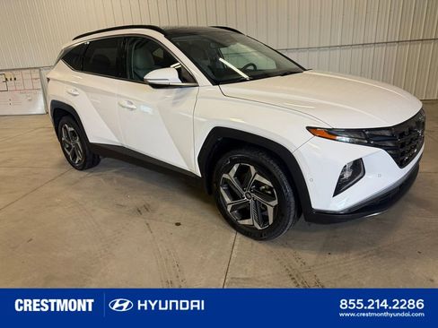 Used 2023 Hyundai Tucson Limited AWD/4WD image 1