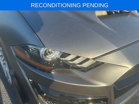 Used 2019 Ford Mustang GT Premium w/ Equipment Group 401A RWD image 3