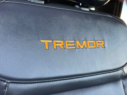 Used 2025 Ford Expedition Tremor AWD/4WD image 39