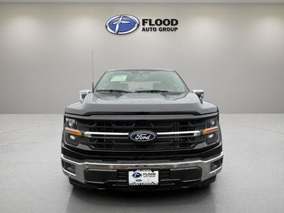 New 2026 Ford F150 XLT w/ Equipment Group 303A High