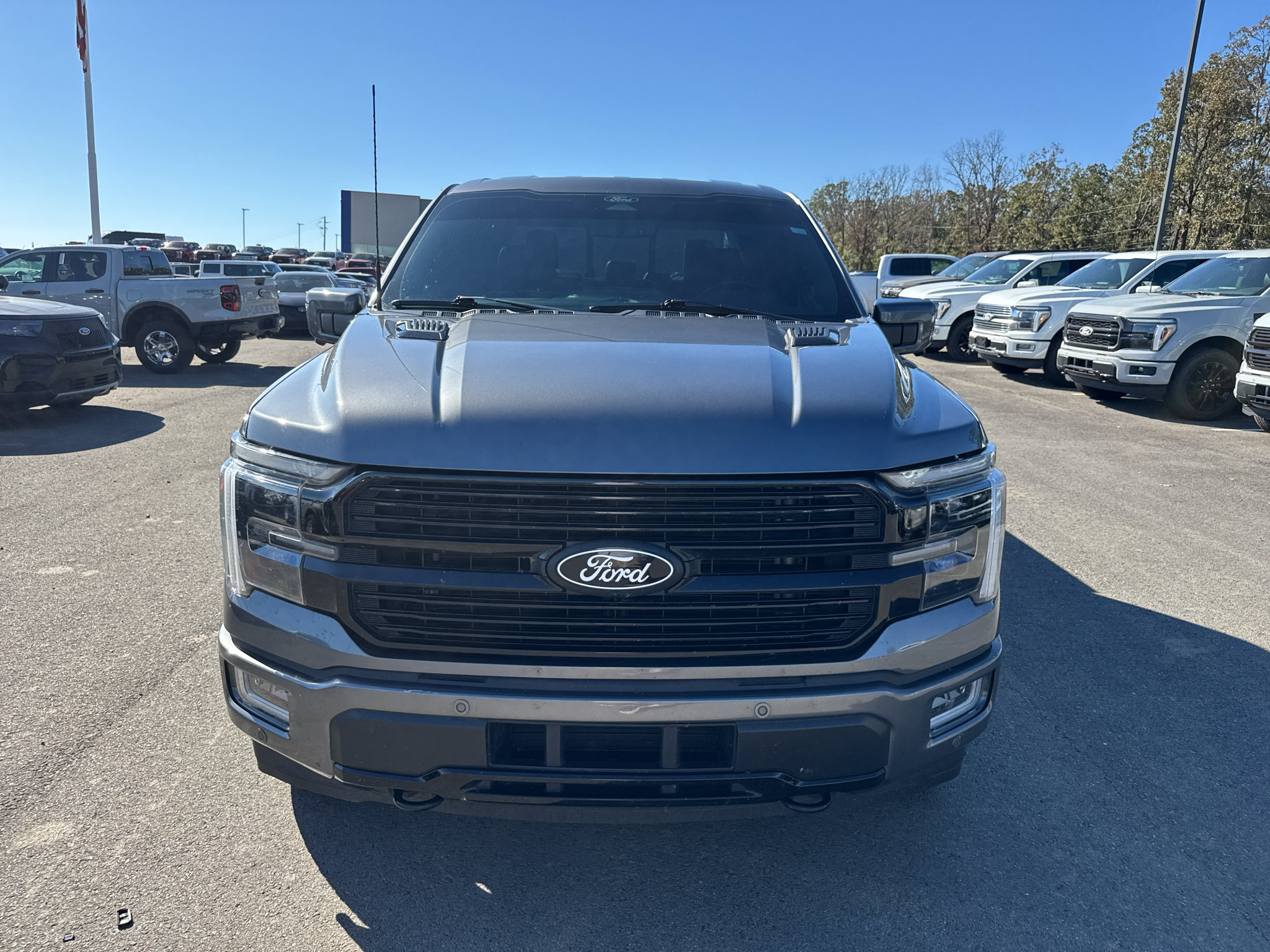 Used 2024 Ford F150 Platinum AWD/4WD image 2