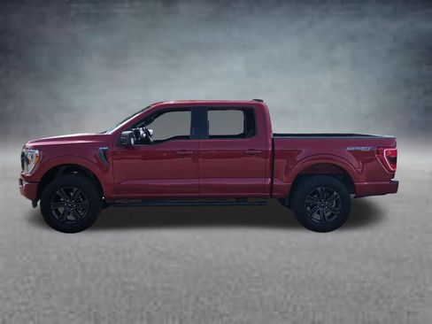 Used 2021 Ford F150 XLT w/ Equipment Group 302A High AWD/4WD image 7